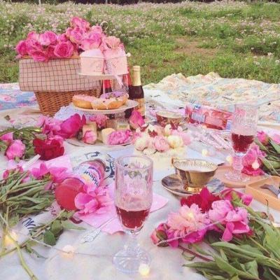 威尼斯软件·下载